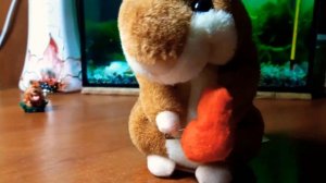 Говорящий хомяк, повторюшка. Woody O’Time