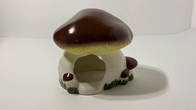 Природа дом для грызунов гриб Белый смотреть онлайн