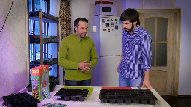 СПОРОБАКТЕРИН! смотреть онлайн