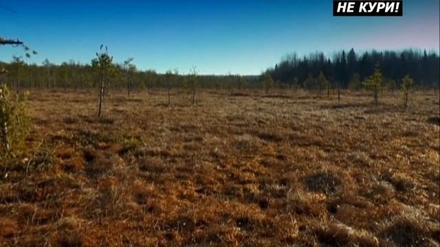 Охота на тетерева на току в Вологодской области. Часть 1 . 2018 смотреть онлайн