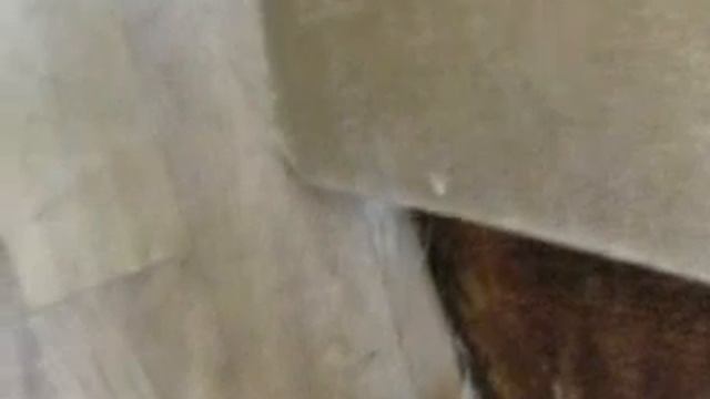 как построить будку для собаки смотреть онлайн