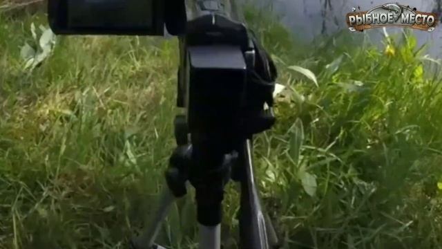 Как поймать карася в апреле? Весенняя рыбалка на карася. смотреть онлайн