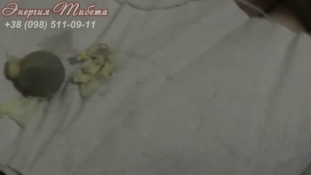 Отзывы тампоны китайские лечебные эксперимент тампон первый смотреть онлайн