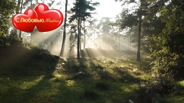 Пение птиц в лесу,пробуждение и шум леса, звуки природы для Relax и сна