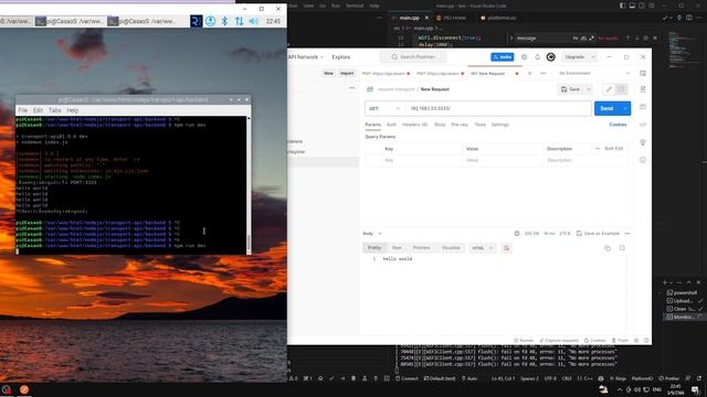 arduino vscode install libery and test websocket смотреть онлайн
