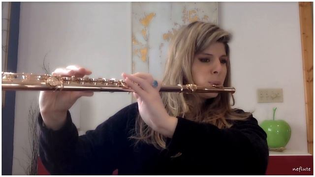 E. Köhler Flute Etudes Op.33 Book 1 #5 Allegretto marziale смотреть онлайн