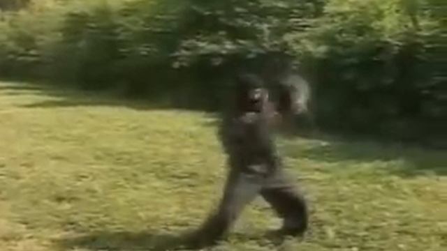 вокруг света(1989г) -боевые исскуства шаолинь,ниндзя смотреть онлайн