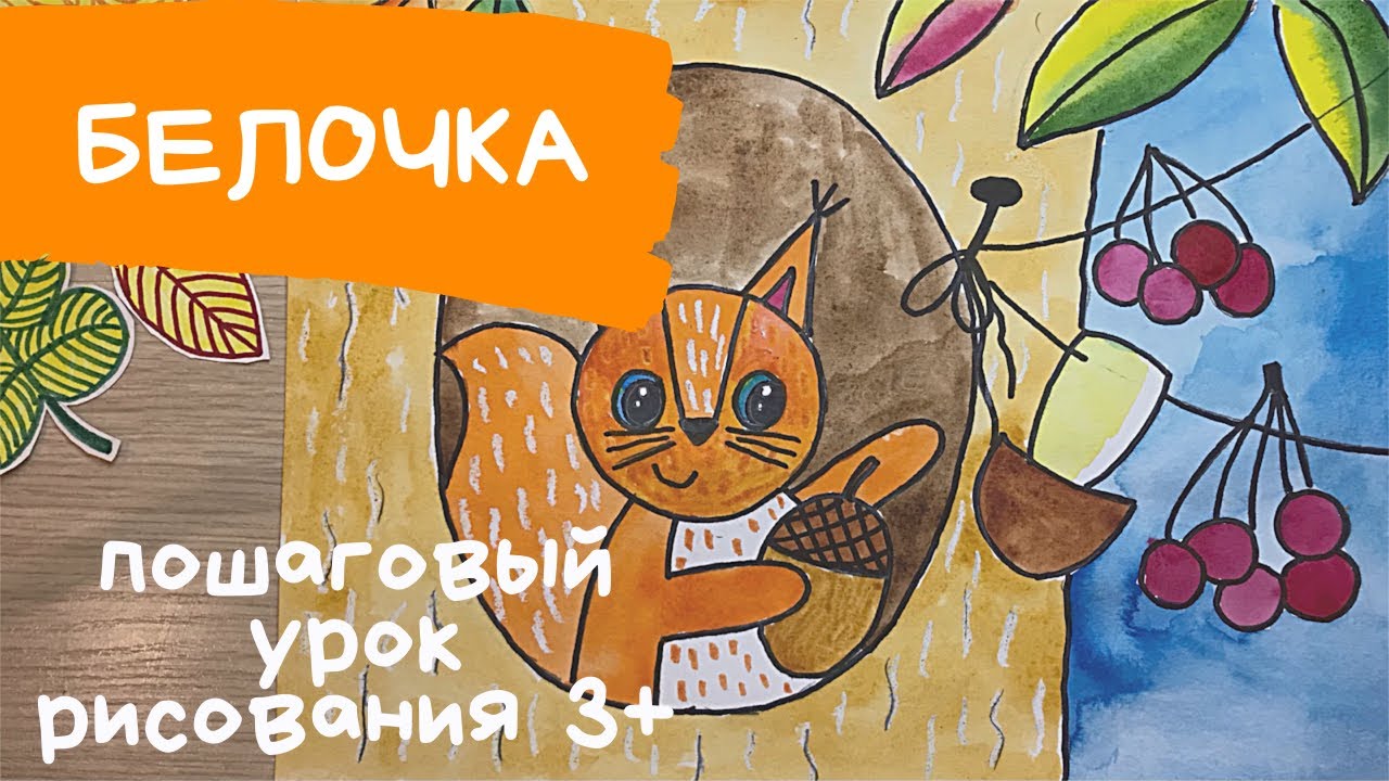 Белка рисунок. Как нарисовать белку. Белочка рисунок для детей. Дикое животное рисунок.