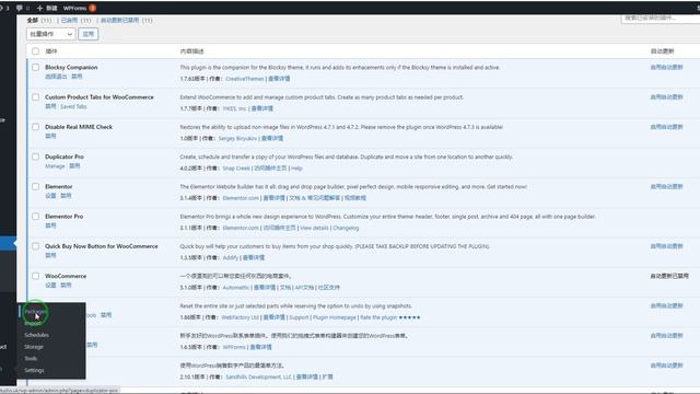 2021如何怎么备份WORDPRESS网站，使用DUPLICATOR PRO 备份WORDPRESS网站，HOW TO USE DUPLICATOR PRO BACKUP WORDPRESS смотреть онлайн