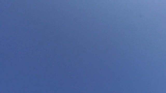 В гостях Голубятник+Голуби+Небо+Сокол Сапсан. A pigeon house is visiting+Doves+Sky+Falcon Peregrine смотреть онлайн