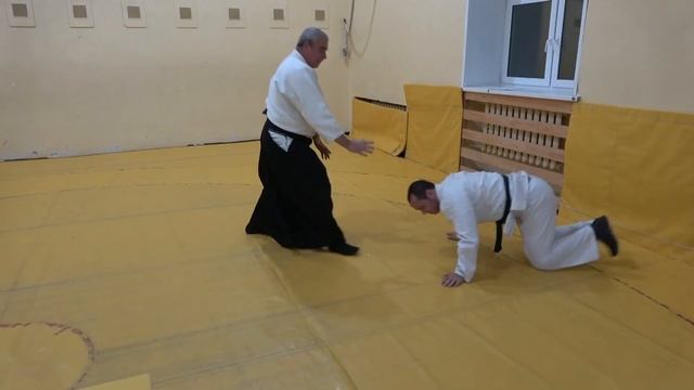Аттестационная программа по Айкидо для детей 6-й кю коричневый пояс смотреть онлайн
