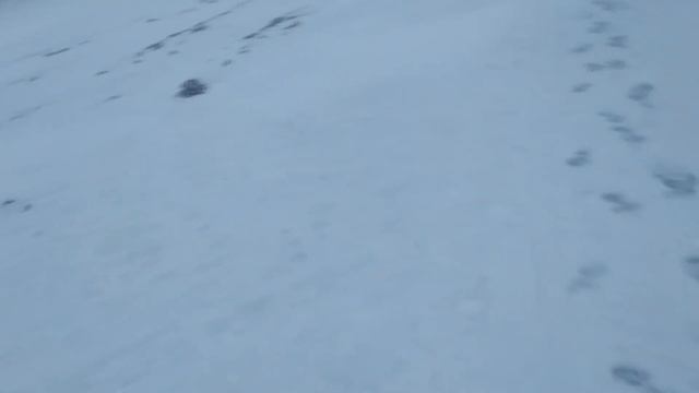 ЭКСТРИМАЛЬНАЯ РЫБАЛКА! ОТЛИЧНЫЕ НАЛИМЫ! УДАЧА НАСТИГЛА МЕНЯ! смотреть онлайн