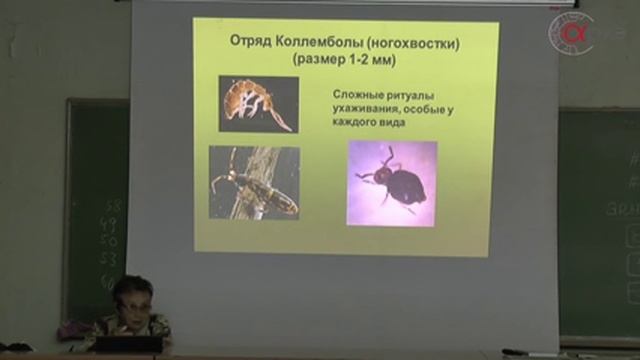 Зоя Зорина: "Введение в зоопсихологию" смотреть онлайн
