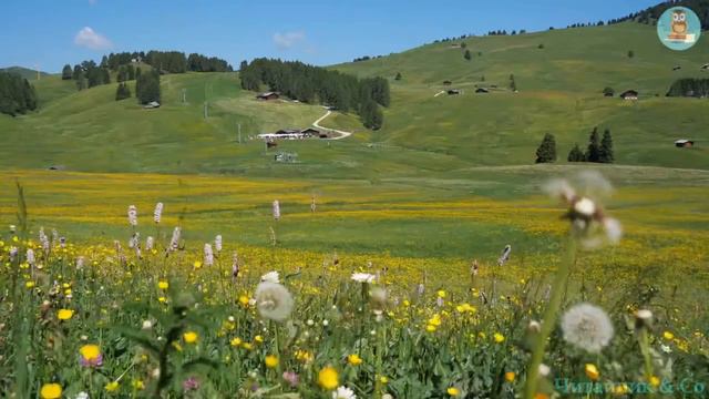Зозуля й Півень – Леонід Глібов смотреть онлайн