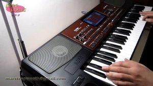Korg pa 700 style Marsh (Korg pa 700. pa 1000. pa x4).