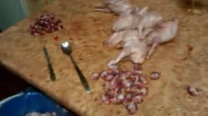 Как потрошить перепелку