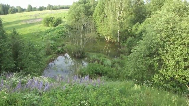 Земля - 25 соток в д. Никулино Краснинского района Смоленской области на берегу речушки смотреть онлайн