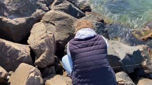 Как я крабов ловил 5 дней на Черном море