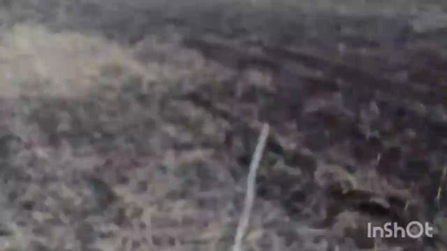 Гнездо журавлей в чистом поле, на голой земле)))) смотреть онлайн