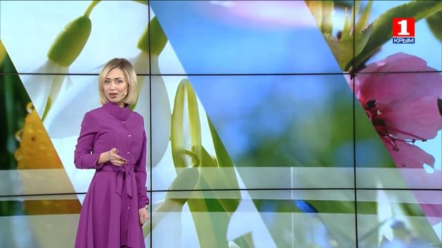 погода 25.03.2016 смотреть онлайн
