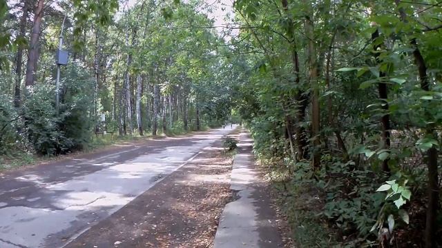 НАШЕЛ ГОСТИНИЦУ В ЛЕСУ смотреть онлайн