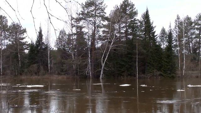 Большая вода 2 смотреть онлайн