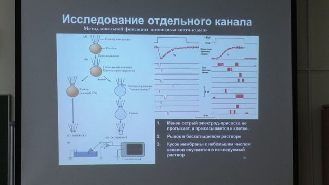 Ловать М. Л. - Физиология человека и животных. Часть 1 - Лекция 2