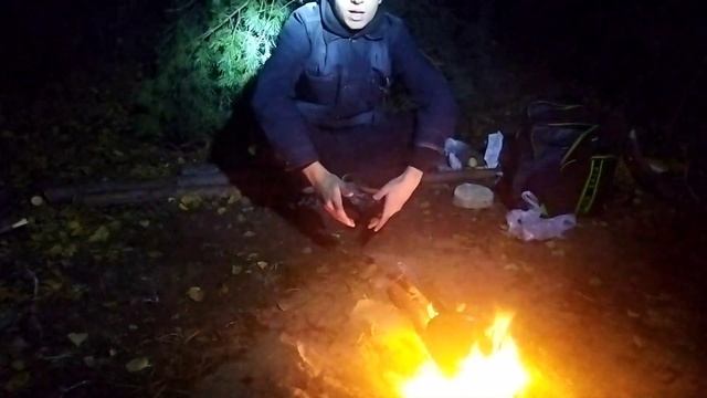 НОЧЕВКА В ЛЕСУ! ДИКИЕ ЖИВОТНЫЕ! ЛАГЕРЬ СВОИМИ РУКАМИ! ПОХОДНАЯ КУХНЯ! смотреть онлайн