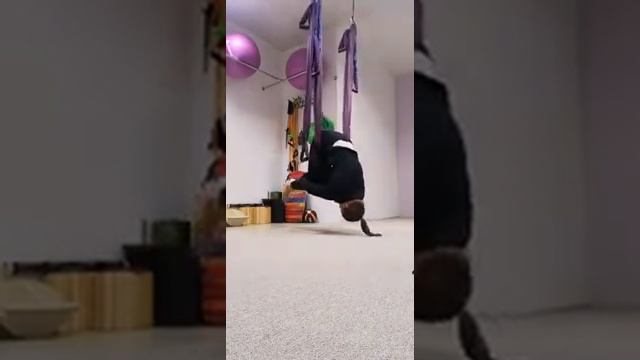 Тренировка FLYYOGA смотреть онлайн