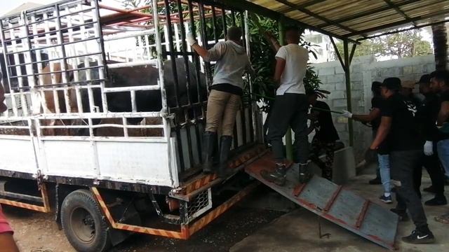 Bakrid 2020 Mauritius Terre Rouge смотреть онлайн