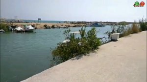 Seher Sun Palace Resort & Spa 5* новый обзор - отели Турции...