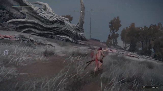 Elden Ring - Elder Dragon Greyoll Boss Fight (no damage) смотреть онлайн