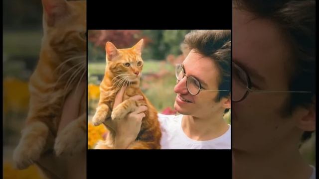 симба старший :( смотреть онлайн