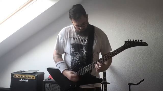 MegadetH - No More Mr. Nice Guy (Guitar playalong) смотреть онлайн