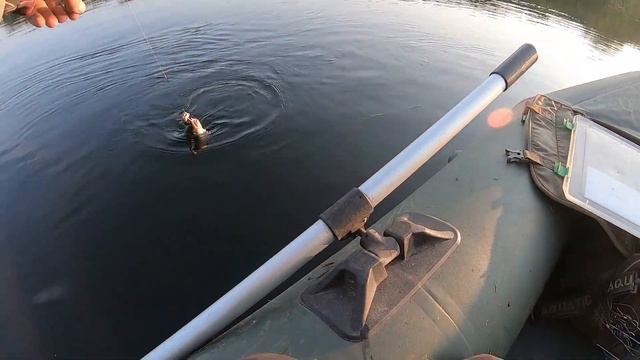 Спиннинги на голавля Мой арсенал смотреть онлайн