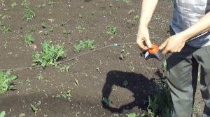 Дождеватель "ЖУК"