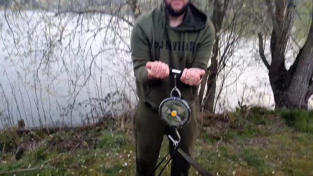 Catching A Cat, At Dog Lane Fishery