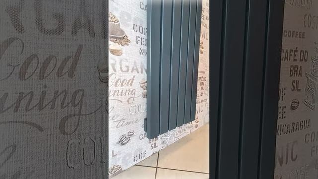 ВЕРТИКАЛЬНЫЙ РАДИАТОР - STEEL V 60Х30 смотреть онлайн