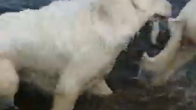 12 июня 2011.avi