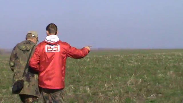 Испытания борзых 2013 г.Новоазовск смотреть онлайн