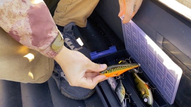 ЛОВИМ ЩУКУ НА СЕКРЕТНОМ ОЗЕРЕ ? НУ ПОЧТИ СЕКРЕТНОМ... смотреть онлайн