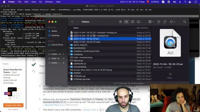Data Moshing with Audacity (with Leandro Facchinetti) смотреть онлайн