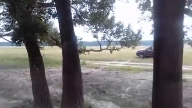 Отдых и рыбалка в Курганской области смотреть онлайн