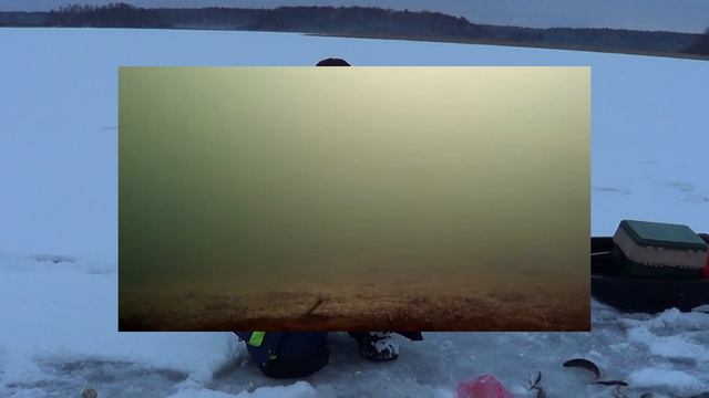 Как ловить плотву, чебака зимой? Тонкости ловли плотвы со льда зимой. Прикормка плотвы зимой. смотреть онлайн