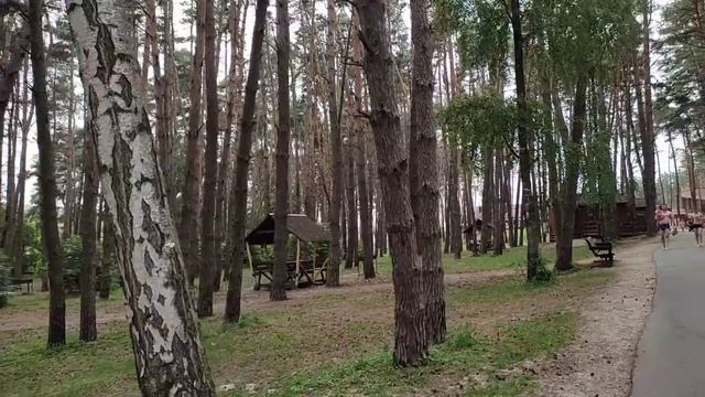 Переезд из Сибири на Юг. Часть 14. Пикник-парк Белгород. Лучшее место для отдыха! смотреть онлайн