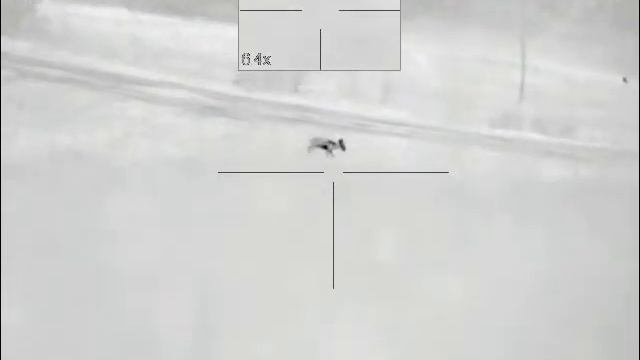 5 5 17fox 1 смотреть онлайн