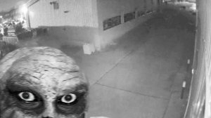 Невероятные Моменты, Снятые на Камеру Дверных Звонков