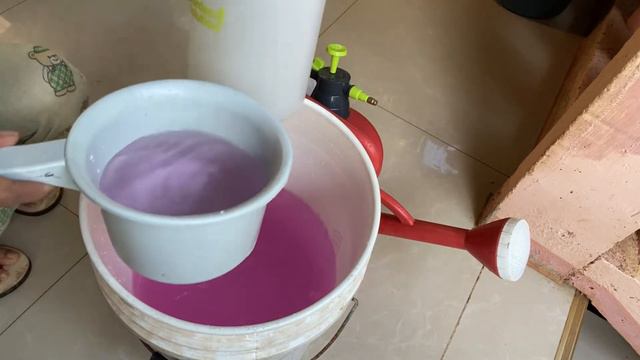 FOLIAR FERTILIZER + GROWTH FORMULA FOR ORCHIDS AND ORNAMENTAL PLANTS + 30-10-10 #foliarfertilizer смотреть онлайн