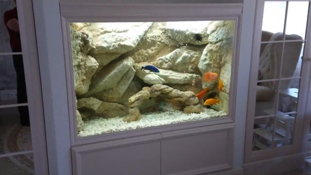 Аквариум на заказ. Изготовление аквариумов по индивидуальным проектам. смотреть онлайн