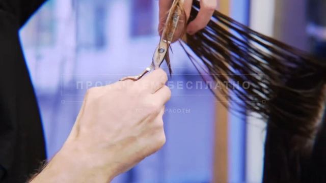 Проект Прокачаем Бесплатно Город Красоты дает шанс смотреть онлайн